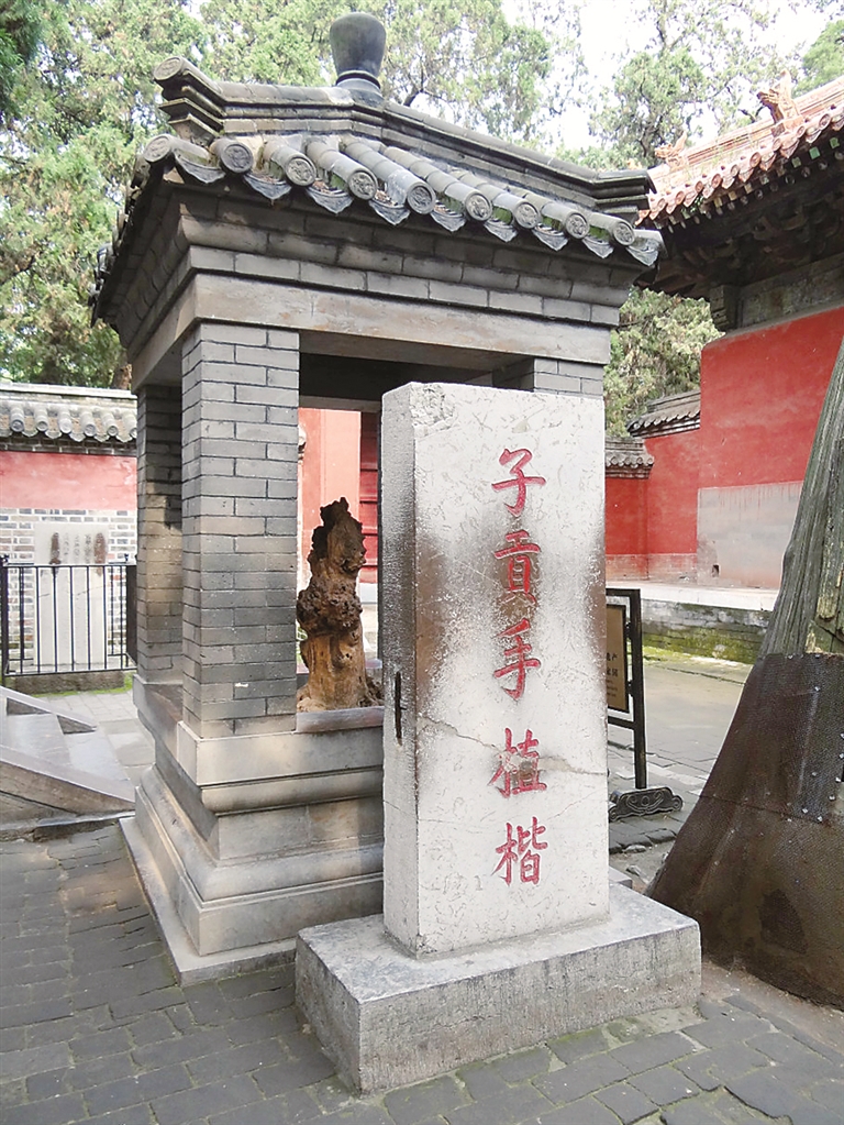 8846威尼斯(中国)股份有限公司