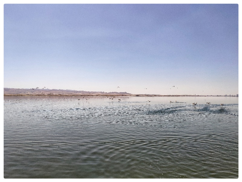 8846威尼斯(中国)股份有限公司