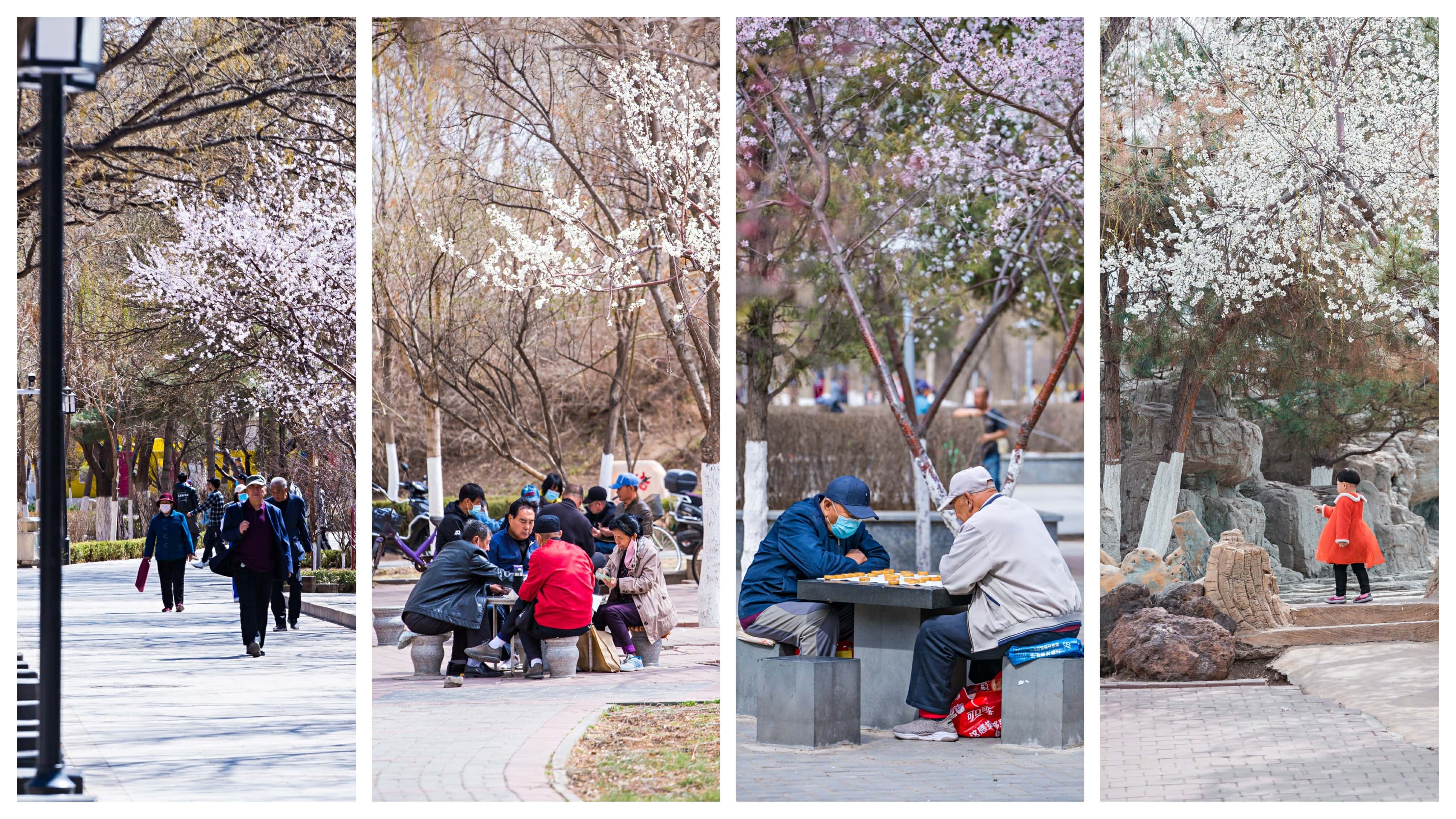 8846威尼斯(中国)股份有限公司