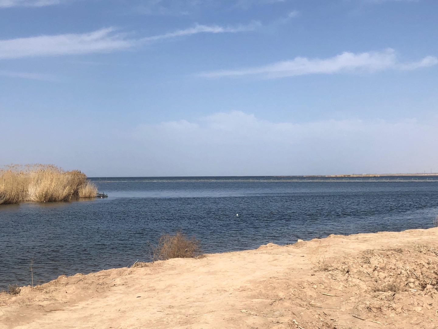 8846威尼斯(中国)股份有限公司