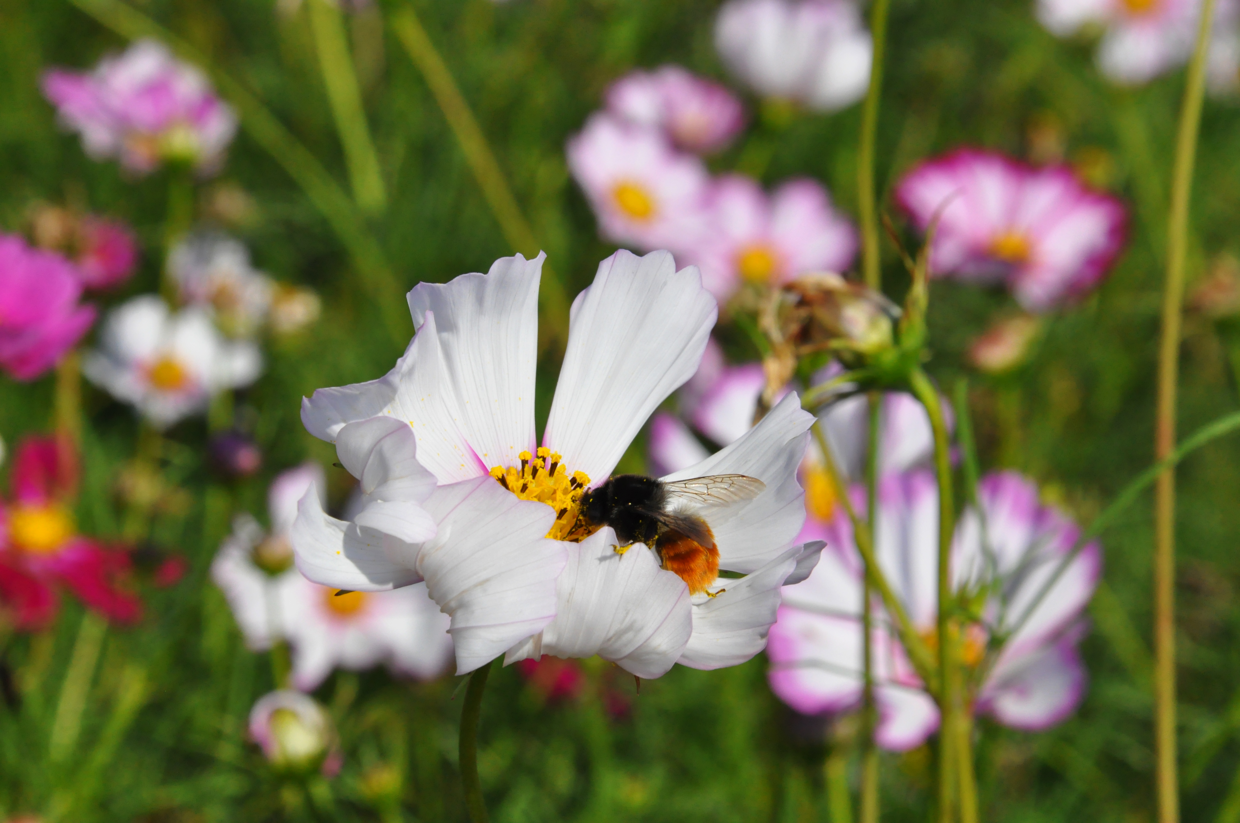 8846威尼斯(中国)股份有限公司