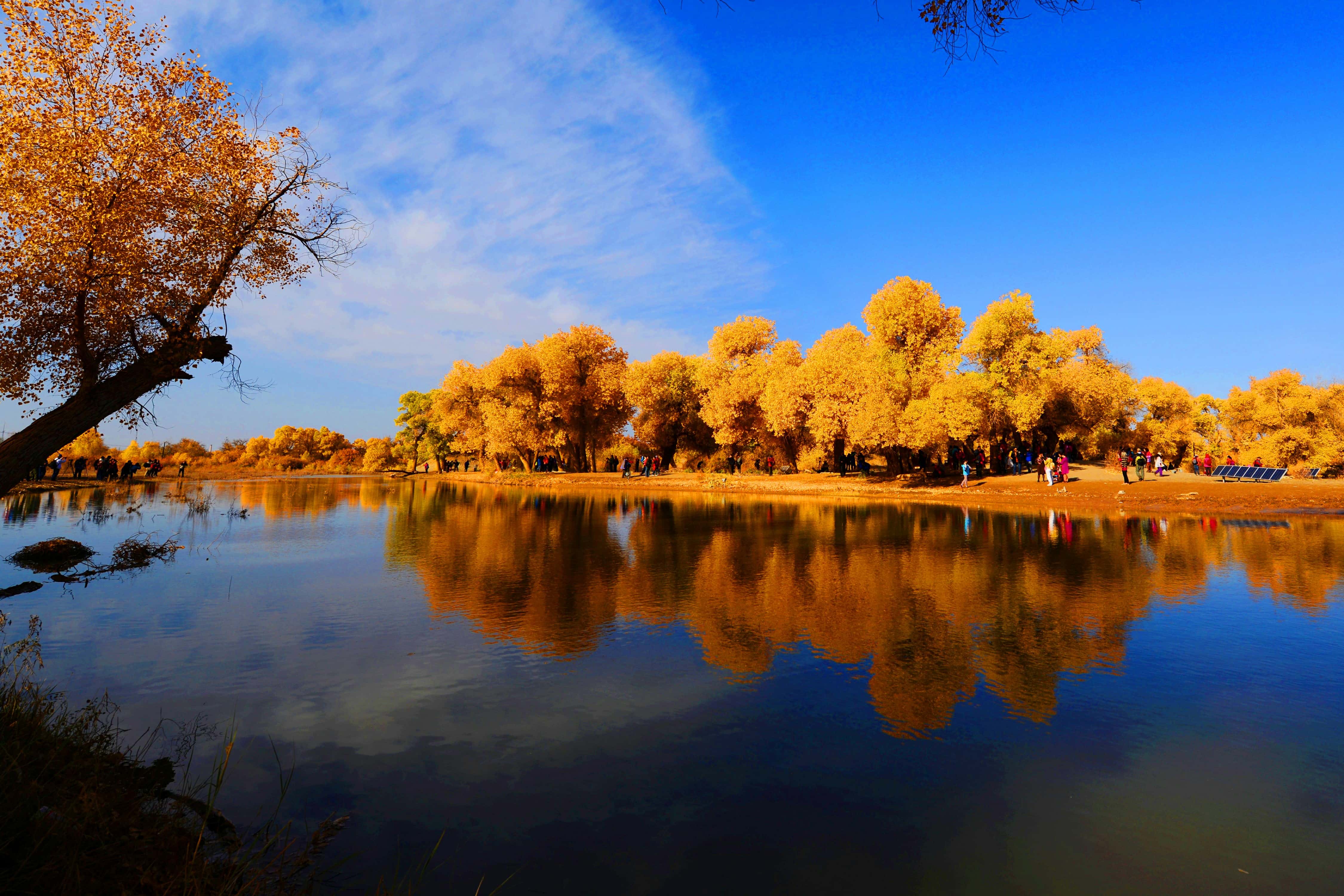 8846威尼斯(中国)股份有限公司