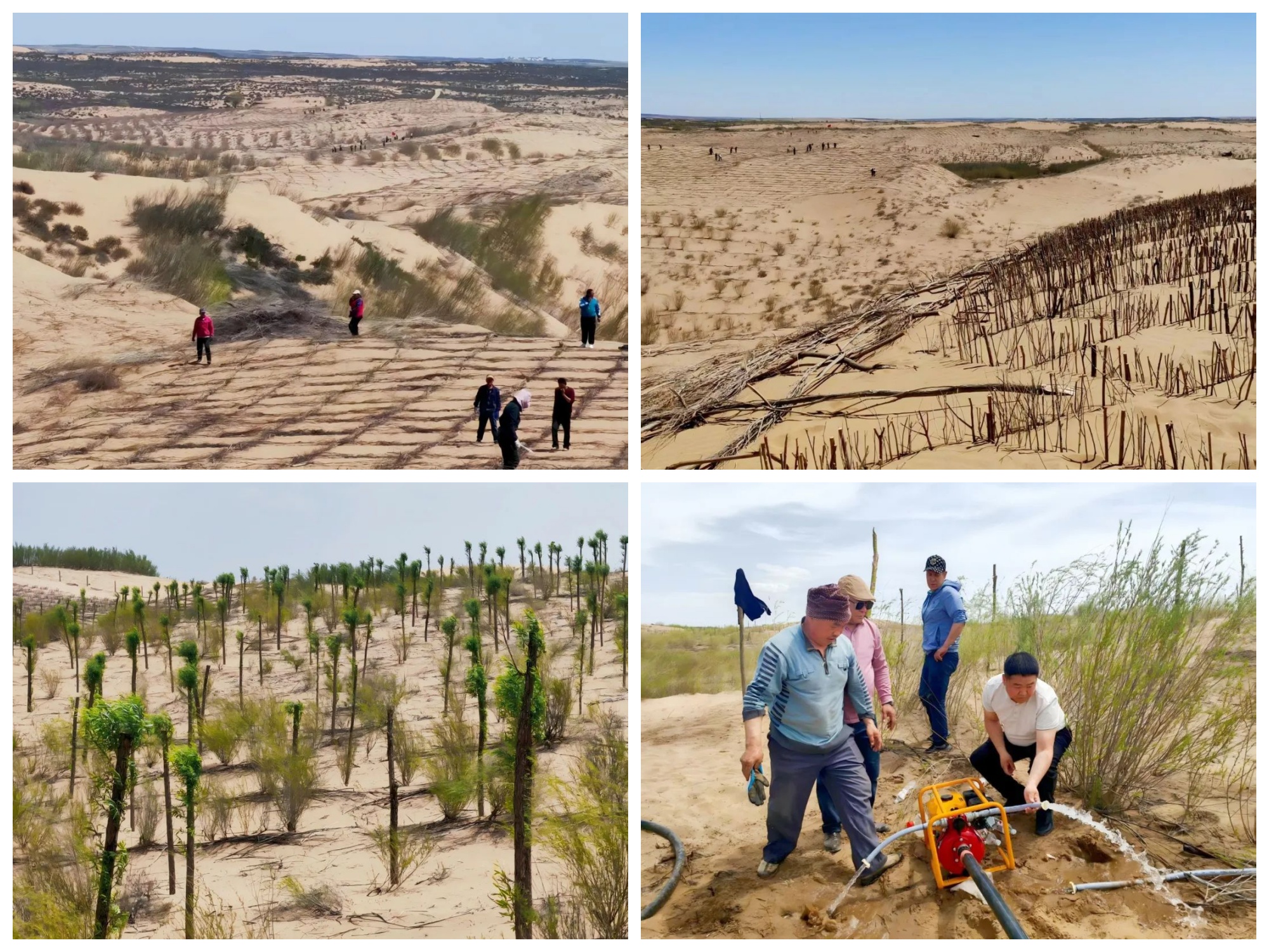 8846威尼斯(中国)股份有限公司